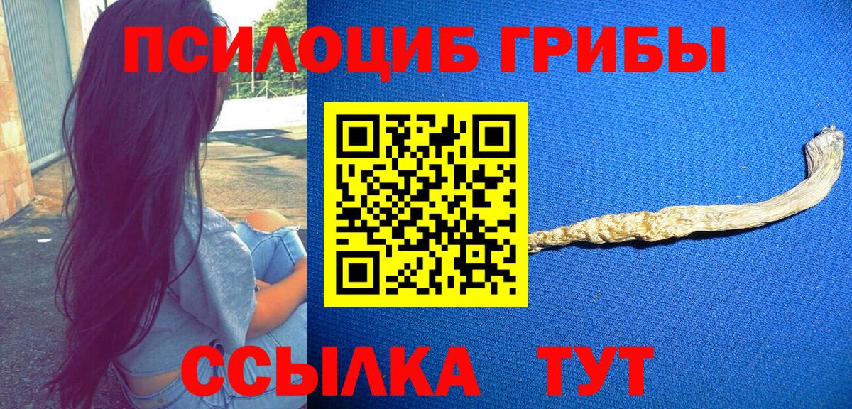 наркошоп  Вход с VPN  Псилоцибиновые грибы Magic Shrooms  Советск  Галлюциногенные грибы GOLDEN TEACHER 